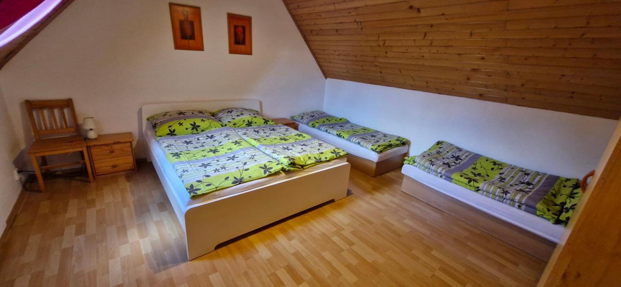 Vilka Cibulka A Cesnacik Izipovce
